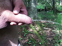 Gungfly forest pee