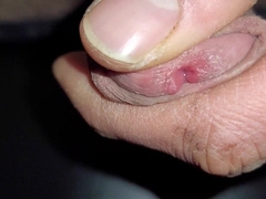 Sonotori - update #1 - quickie jack - Nov 26, 2023