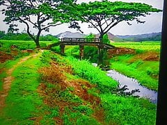 STRIKING BLONDE BITCH DAYNA VENDETTA MOANS WHILE BEING DRILLED HARD