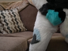 Jacking my Dragon Trouser Snake for Milk