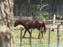 Swinger Fucked By Big Balls Stud