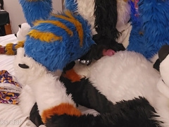 Big Dog Teaches The Little Kitty How To Sit #knot #knotfucking