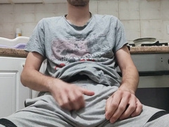 Debela hrvatska kita