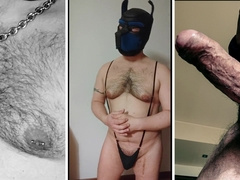 Hooded Otter - Vlog ask me anything