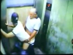 Daddy Bear and his Young Cub Caught on Camera