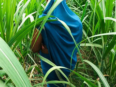 Большая жопа, Блондинки, Минет, Грудастые, Ферма, Секс без цензуры, Хд, Натуральные сиськи