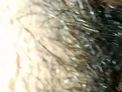 ゲイ, シーメール