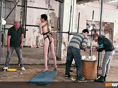 Making Full Use Of The Greedy Boy - Part 1 - Noah Carter  Sean Taylor