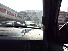 Grosser schwanz, Schwarz, Braunhaarige, Schwanz, Schwarz, Interrassisch