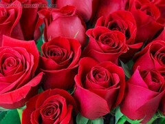 Steamy midnight story of a mature hotwife with big tits getting down with the neighbor in bed