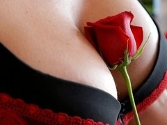 Grosser arsch, Blondine, Hundestellung, Handjob, Küssen, Lingerie, Masturbation, Strümpfe