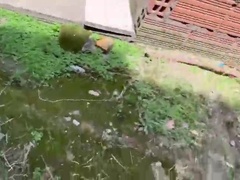 My neighbor's persistent offer: a blowjob, creampie, and cumshot accepted.