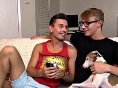Two hot twinks are joined by a third for hot bareback