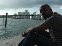 Жопа, Большая жопа, Большой член, Брюнетки, Собачьи, Межрасовый секс, Сквиртинг, Сиськи