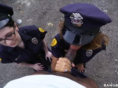 You Don’t Fuck The Law