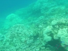 Любители, Пляж, Минет, Дрочка ногами, Подружка, Оргазм, На природе, На публике