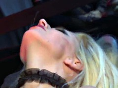 Anal, Ass, Bdsm, Group, Hardcore