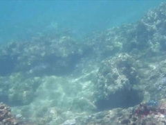 素人, フェラチオ, 彼女, 手コキする, アウトドア, ハメ撮り, 公共, のぞき