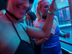 Lieveling, Gek, Erotisch, Handbeurt, Hardcore, Orgie, Openbaar, Tieten likken