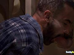 Gay