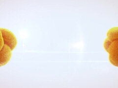 Tussi, Grosser arsch, Grosse titten, Masturbation, Pissen, Muschi, Solo, Titten