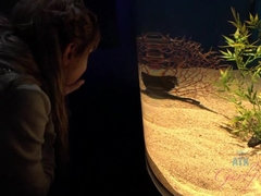 素人, ビーチ, ビキニ, ブロンド, ヌード, アウトドア, 小柄, 公共