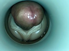 Amateur, Queue, Homosexuelle, Hd, Masturbation, Jouets