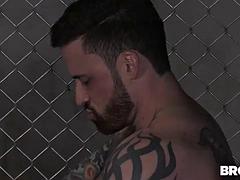 Homo, Sportzaal, Hd, Tatoeage