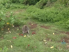 お尻, ブロンド, 目瞪口呆, 彼女, プール, 剃毛, タトゥー, オッパイの