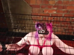 Submissive Fatty Pig Humiliated - Deep throat