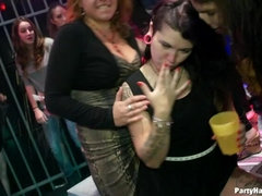 Leie, Bekleidet, Fingern, Handjob, Hardcore, Strumpfhose, Muschi, Swingers