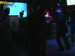 Bruinharig, Feest, Doordringend, Tatoeage