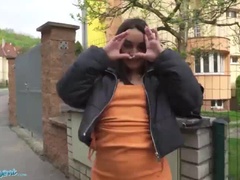 Mooi, Bruinharig, Schattig, Hondjeshouding, Buiten, Slipje, Klein, Gezichtspunt