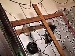 Ass, Bdsm, Bondage, Cuckold, Femdom, Milf, Wife