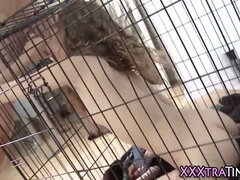 緊縛, ボンデージ, イく瞬間, 顔射, オナニー, 小柄, 叫ぶ, ティーン