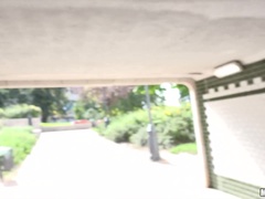 公共