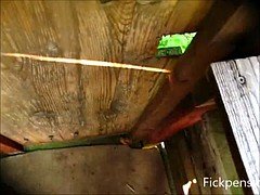 Amateur, Allemand, Echangistes