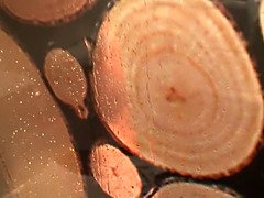 Большие сиськи, Черные, Грудастые, Пальцем, Хд, Мастурбация, Душ, Молоденькие