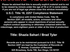 Grote kont, Grote lul, Grote mammen, Pijpbeurt, Zwart, Hardcore, Indisch, Interraciaal