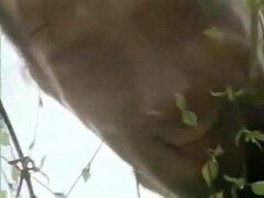 Arsch, Wohlbeleibte schöne frauen, Spermaladung, Süss, Kehlenfick, Schwanz, Gruppe, Orgasmus