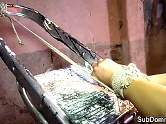 Садо мазо, Красивые, Крупный план, Хд, Бритые, Сыновья, Сиськи, Игрушки