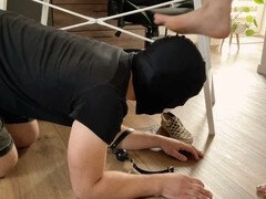 Bondage domination sadisme masochisme, Domination, Pieds, Femme dominatrice, Humiliation, Chaussures, Esclave, Chaussettes