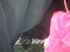 Amateur, Anal, Arabe, Esposa