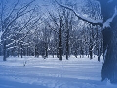 Leie, Tussi, Grosse titten, Blondine, Fetisch, Selbstgemacht, Natürlichen titten, Titten