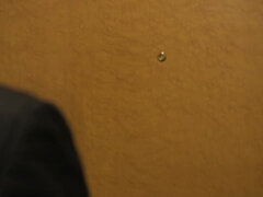 Grote kont, Pijpbeurt, Rondborstig, Mollig, Lul, Rijpe lesbienne, Natuurlijke tieten, Tieten likken