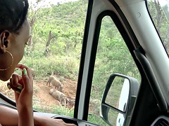Africano, Chica, Negro, Mamada, Ébano, Novia, Interracial, Pov