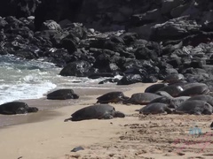 Strand, Braunhaarige, Freundin, Nackt, Im freien, Rasiert, Spanner, Nass