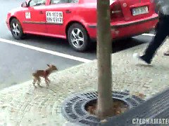 Leie, Erstaunlich, Blondine, Hd, Muschi, Schreiend, Teen in den arsch, Titten