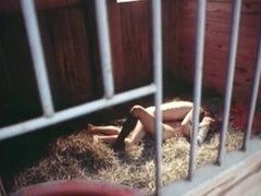 美女, フェラチオ, 古典, グループ, オージー, ティーン, ヴィンテージ, 濡れ