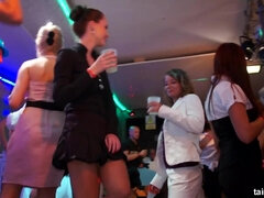 Culo, Tetas grandes, Mamada, Borracha, Sexo duro, Orgía, Fiesta, Coño